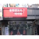 양꼬치매니아