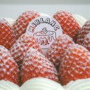 굿모닝로얄프라자 이미지