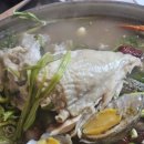 이은희 해물전문점 이미지