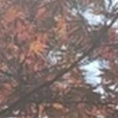 수월치과의원 이미지