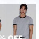 알브이디핏
