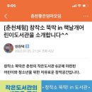 2022.01.05. 창작소 춘맘카페 홍보 이미지