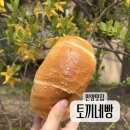 안양빵집 소금빵맛집 또간집 토끼네빵 만족후기