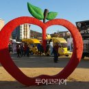 로또사과 이미지