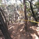 산악치과의원 | 제1회 팔당호 물사랑배 전국 산악자전거 대회(2)