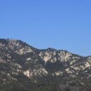 신길고 사거리 이미지