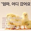 번쩍PC방 | 동에번쩍 서에번쩍 8월일기