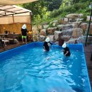 누리다 애견펜션 이미지