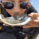 나정2리 이미지