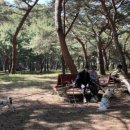 하동송림공원 네이버블로그