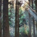 한라돈가 이미지