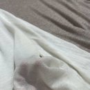 비즈라인