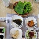 동진강 민물장어 이미지