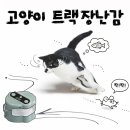 영신군이이묘 | 고양이자동장난감 추천 테무 트랙으로 우울한 중년묘의 생닭자세 사라졌어요