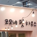 코모네펫하우스 이미지