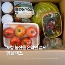 렉스 | 포항 야채 새벽 배송, 농산물 전문 온라인 업체 추천 팜플렉스 이용 후기