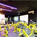 에스(s) 휘트니스 이미지