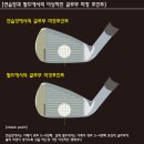 서울대골프연습장 이미지