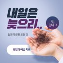 채롭