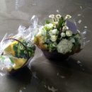 벨라까사 이미지