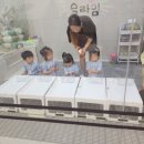 오감데이즈