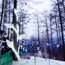 홍해정육점 이미지