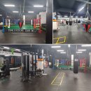 정일복싱 이미지