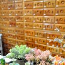 실로암한의원 이미지