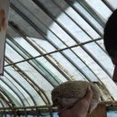 자연아놀자박물관 이미지