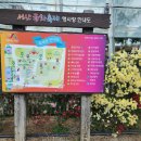 서산행정사사무소 이미지