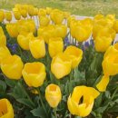 순천만국가정원 동문매점 이미지