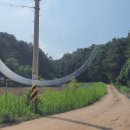 정발장군묘 이미지