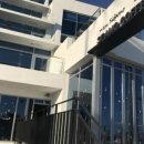 파니아토 이미지