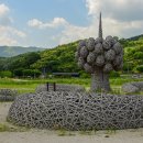 상림 이미지