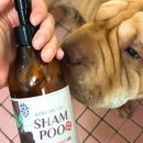 쭈 주식회사 이미지