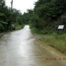 푸른산농원 이미지