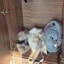 여자 둘 유럽 자유여행 준비물｜기내 필수템부터 치안 걱정템까지 (실사용 추천)