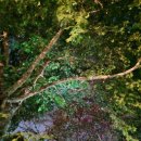 영상강문화공원 이미지