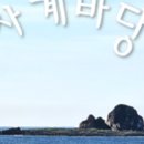 용림수산 네이버블로그