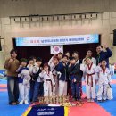 세아 용인대 태권도장 | 의장기 태권도 대회 후기~ 품새 부분 남양주 &#39;종합...태권도/평내호평/호평동 태권도/호평동태권도장)