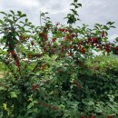 햇님농장 이미지