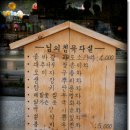 향기머금은 Daum카페