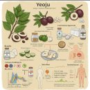 여주-1078 이미지