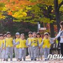 소풍 이미지