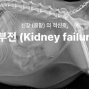 협진농장 네이버블로그