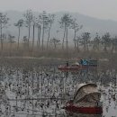호수낚시 - 화천군 상승로 28-1 | 호수낚시