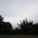 꽃향기 바다내음 이미지