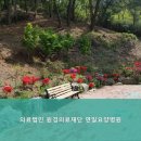 포항 요양센터 의료법인 원경의료재단 연일요양병원 1. 경북 요양원, 편안한 휴식과 전문 케어를 경험해...