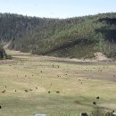 전골과  삼겹살 이미지