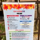 천냥포차쨍아떡볶이 | 2024 수원시청역 SK뷰 아파트 축제, 가을 SKVIEW티풀 후기